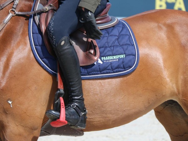 Topsport en studie: Sport Vlaanderen en Paardensport Vlaanderen lanceren binnenkort het F-statuut voor paardrijden