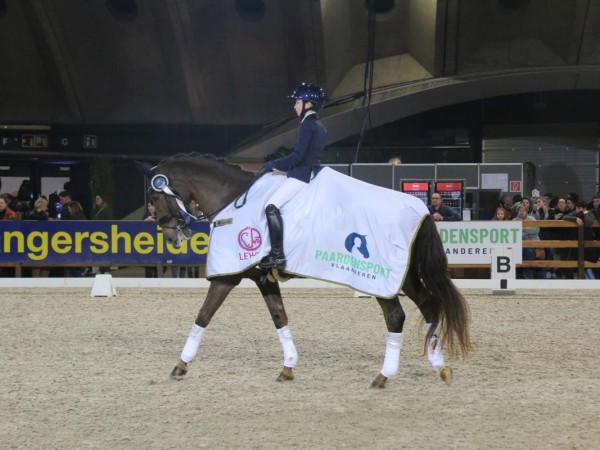 Dressuur: Maddelin Equestrian Elite Cup 2025
