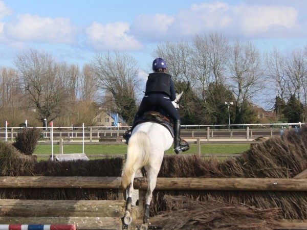 Eventing: Reglement 2024 is er!