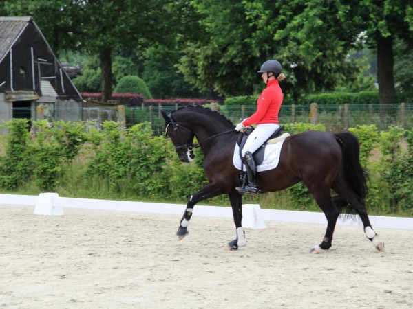 Dressuur: Wedstrijdgerichte Trainingsdagen