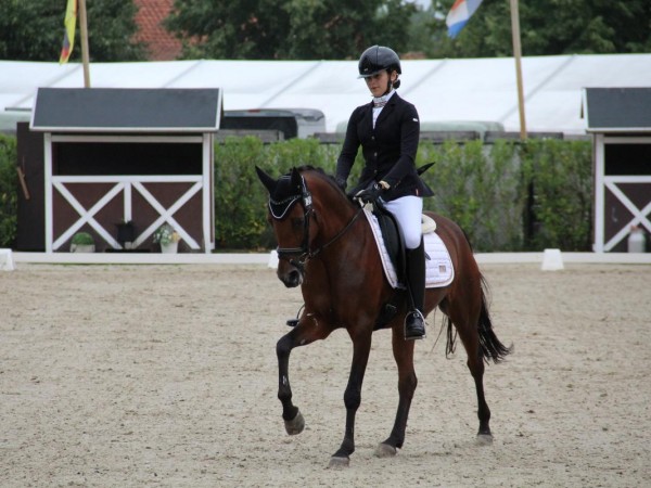 NIEUW: Dressuur - Jonge Pony's Nationaal