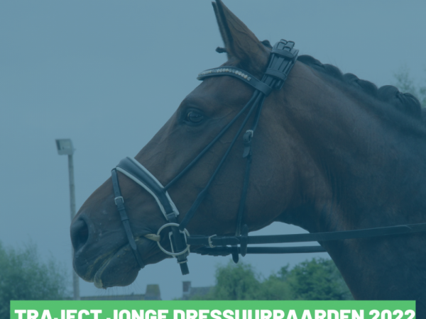 Dressuur: Uitgebalanceerd traject voor Jonge Dressuurpaarden op kalender 2022