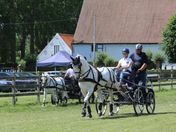 Mennen: wintertrainingen