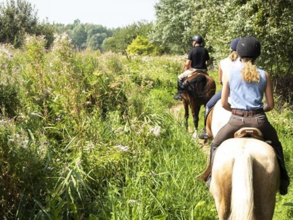 Vrijwilligers gezocht voor ruiter- en menonderzoek in Limburg