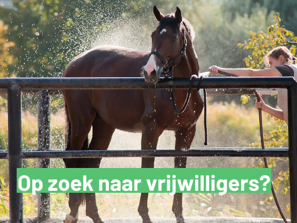 Clubs: kan jij extra handen gebruiken in jouw club?