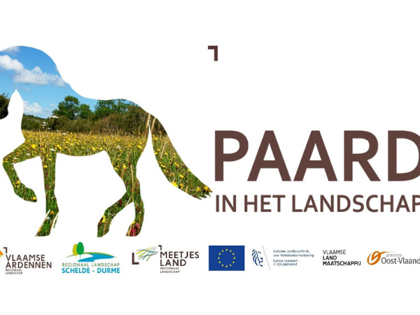 Algemeen: Oost-Vlaamse paardenhouders bouwen mee aan het landschap