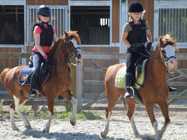 Clubs: De Jonghe Pony organiseert ponydagen als voorbereiding op het A-brevet