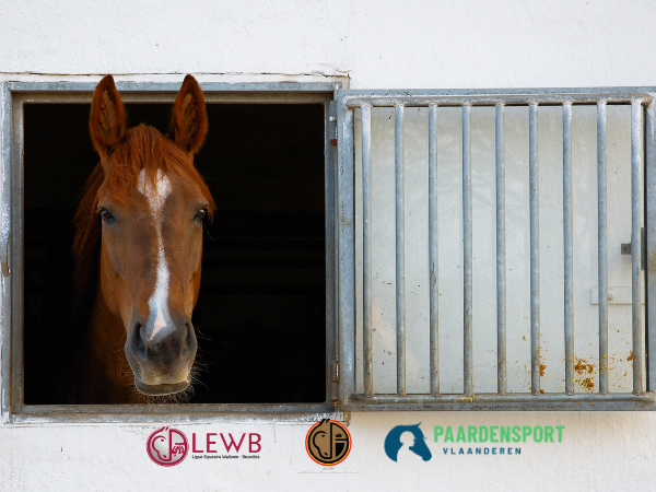 Algemeen: Paardensport Vlaanderen, KBRSF en LEWB nemen maatregelen om EHV-1 opmars te vermijden