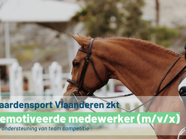 Vacature: Paardensport Vlaanderen zkt gemotiveerde medewerker (m/v/x)