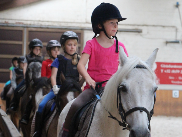 Clubs: Aantal clubs bij Paardensport Vlaanderen blijft stijgen