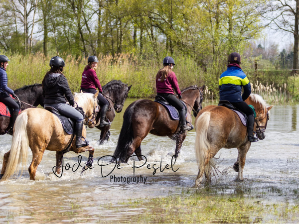 Clubs: Hippoclub Alea organiseert Trek4Youth