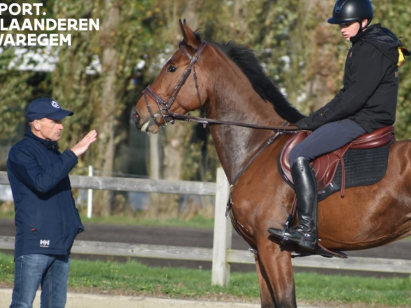 Clubs: Eventingstages te Sport Vlaanderen Waregem