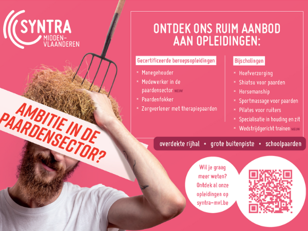 Clubs: Ruim aanbod aan opleidingen bij Syntra Midden-Vlaanderen