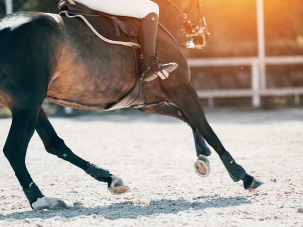 Jumping: Aanpassing reglementering tijdsoverschrijding