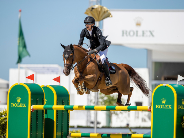 Belgian Breeder's Bonus: King Edward Res, een Belgisch gefokt paard, het beste springpaard ter wereld, nummer één voor de Belgian Breeders Bonus