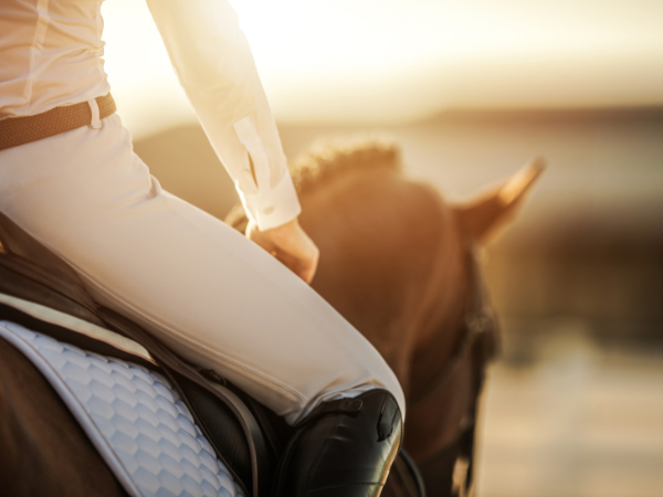 Algemeen: Paardensport Vlaanderen gesloten op maandag 15/08/2022
