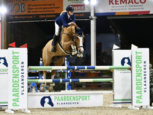 Jumping: Aftellen naar de JM Indoor Masters!