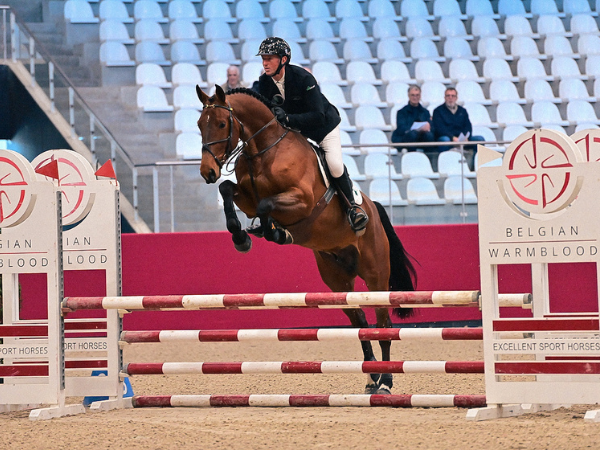 Jumping: Online offficial bijscholing op dinsdag 5/03