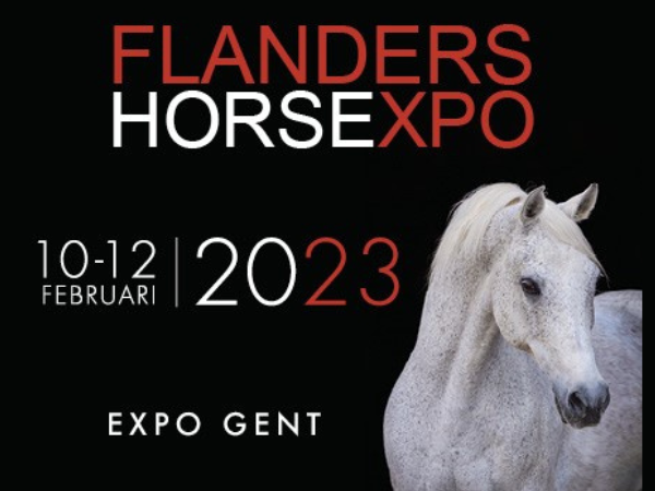Promo: Voordeelactie: Ga met je club naar Flanders Horse Expo
