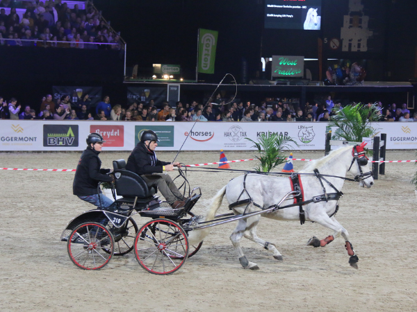 Mennen: Finale Flanders Indoor Mencup tijdens Flanders Horse Expo