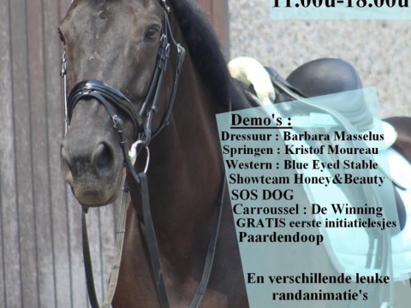 Clubs: Manege De Winning opent haar deuren!