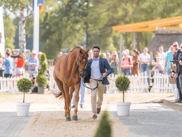 Eventing: Seppe Vilain van jeugdruiter tot 5* ruiter