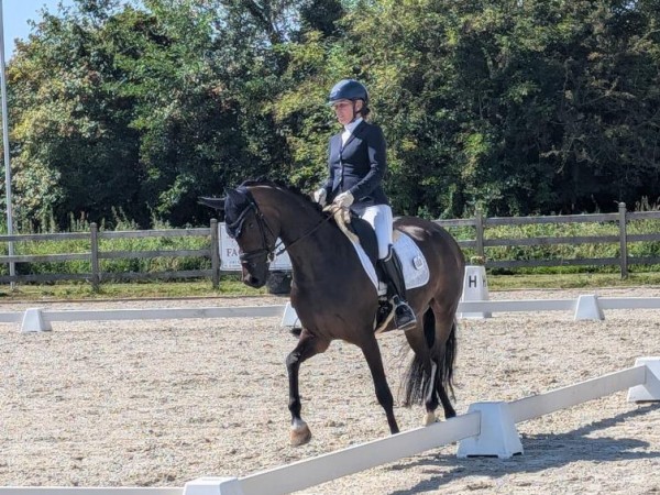 Dressuur: Selecties jonge paarden voor het WK in Ermelo