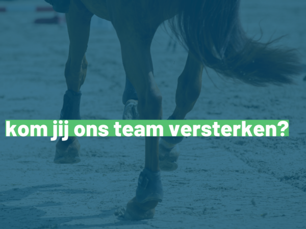 Vacature: Paardensport Vlaanderen zoekt ondersteuner clubwerking