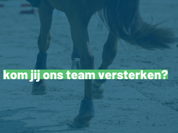 Vacature: Paardensport Vlaanderen zoekt freelancers voor Team Competitie