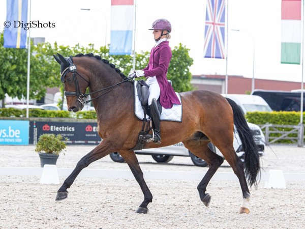 Belgisch Kampioenschap Dressuur 2023 in het Azelhof te Lier 24/05 - 28/05