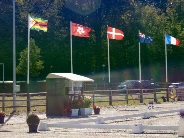 Algemeen: Vlaamse paardensport trekt aan alarmbel en zoekt naar oplossingen voor wedstrijdproblematiek