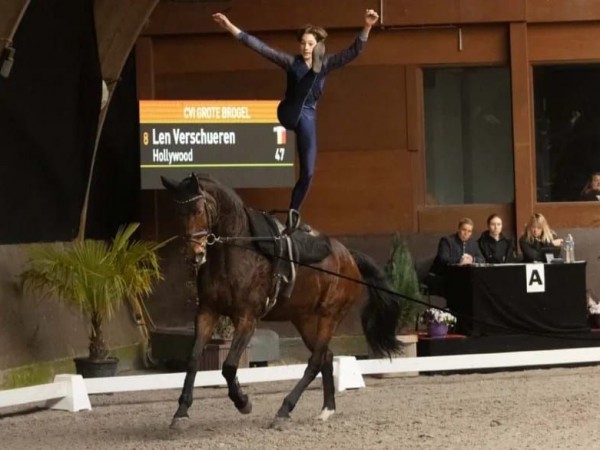 Voltige: Opnieuw knappe resultaten van Belgische voltigeurs tijdens CVI Grote Brogel