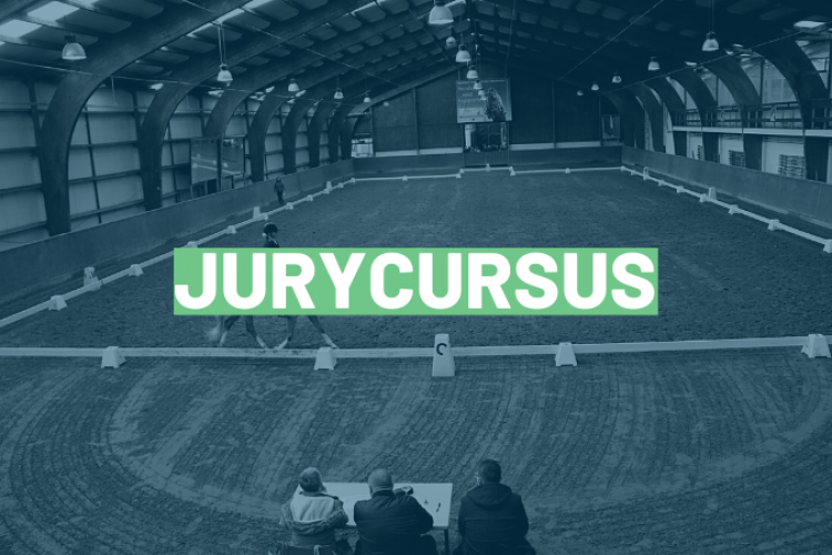 Dressuur: jurycursus niveau 4 - 2021