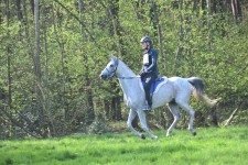 Endurance: Paardensport Vlaanderen overheerst op de eerste CEI* van 2023 te Zutendaal