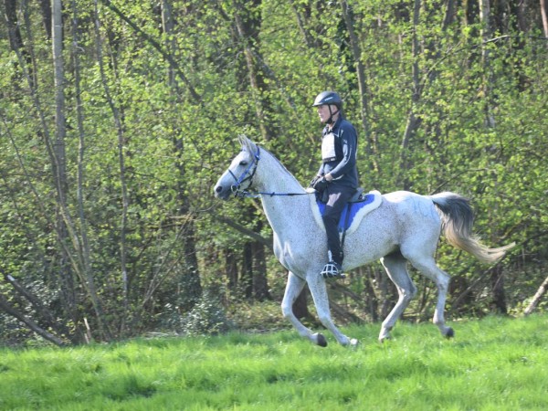 Endurance: Paardensport Vlaanderen overheerst op de eerste CEI* van 2023 te Zutendaal