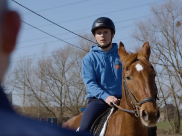 Paardenpunt Vlaanderen: een paard is geen fiets