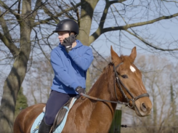 Paardenpunt Vlaanderen: geen gsm op de baan