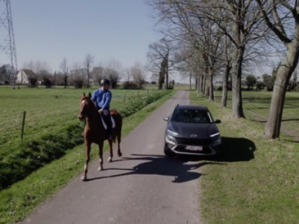 Paardenpunt Vlaanderen: je arm als richtingsaanwijzer