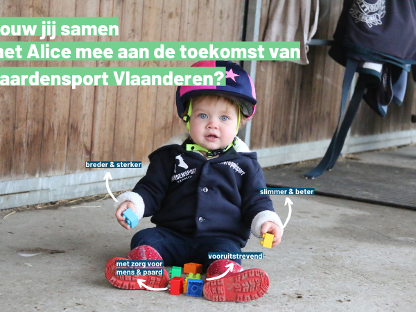 Algemeen: Bouw mee aan de toekomst van Paardensport Vlaanderen!