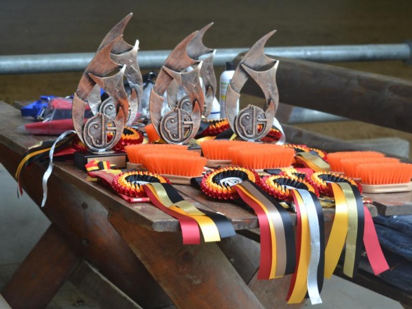Reining: Belgisch kampioenschap te Destelbergen