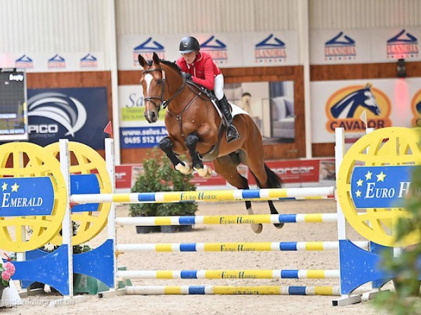 Jumping: Praktische info Lannoo Belgian Stallion Competition, powered by Euro Horse