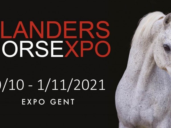Algemeen: Flanders Horse Expo verhuist van voorjaar naar najaar 2021