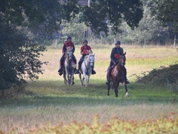 Endurance: Een geslaagd Paardensport Vlaanderen kampioenschap georganiseerd in Beernem