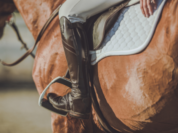 Competitie: Nieuw inschrijvingssysteem wedstrijden: Hoe beheer je je paarden via je profiel?
