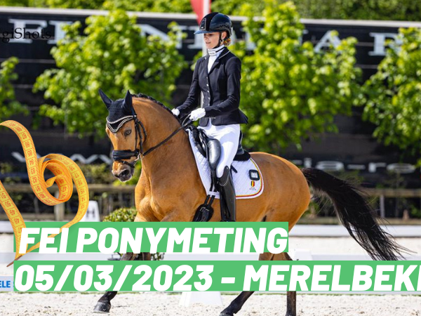 Competitie: FEI ponymeting