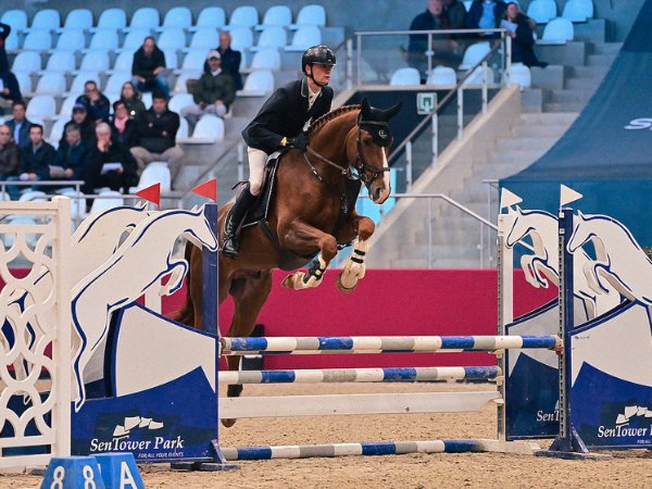 Jumping: Uitkijken naar Lannoo Belgian Stallion Competition powered by Eurohorse