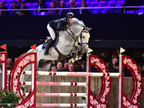 Jumping: Lannoo Belgian Stallion Competition powered by Euro Horse