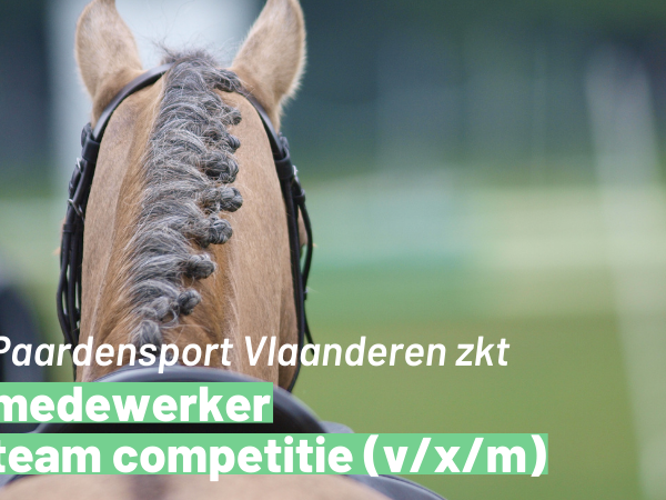 Vacature: Paardensport Vlaanderen zkt medewerker team competitie (v/x/m)