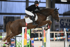 Jumping: Replay van ’t Paradijs en Qannando zijn de sterren van de dag in Zellik tijdens de Lannoo Belgian Stallion Competition powered by EuroHorse