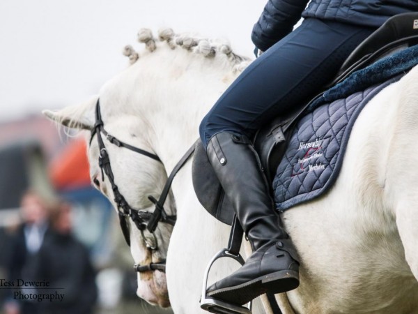 Paardensport Vlaanderen wil jouw mening horen!